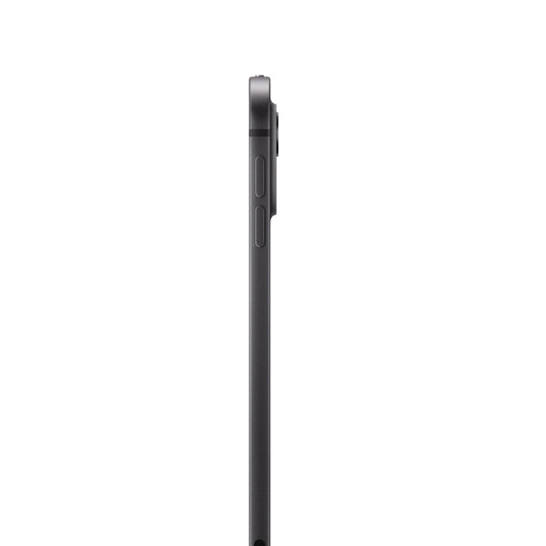 iPad Pro M4 Wi-Fi