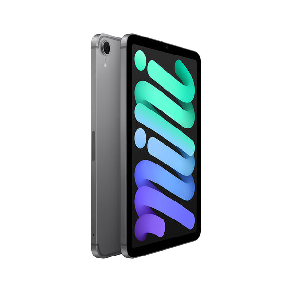 iPad mini 8.3 6ª gen
