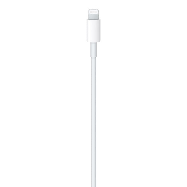 Cable USB-C a Lightning 2Mt Apple